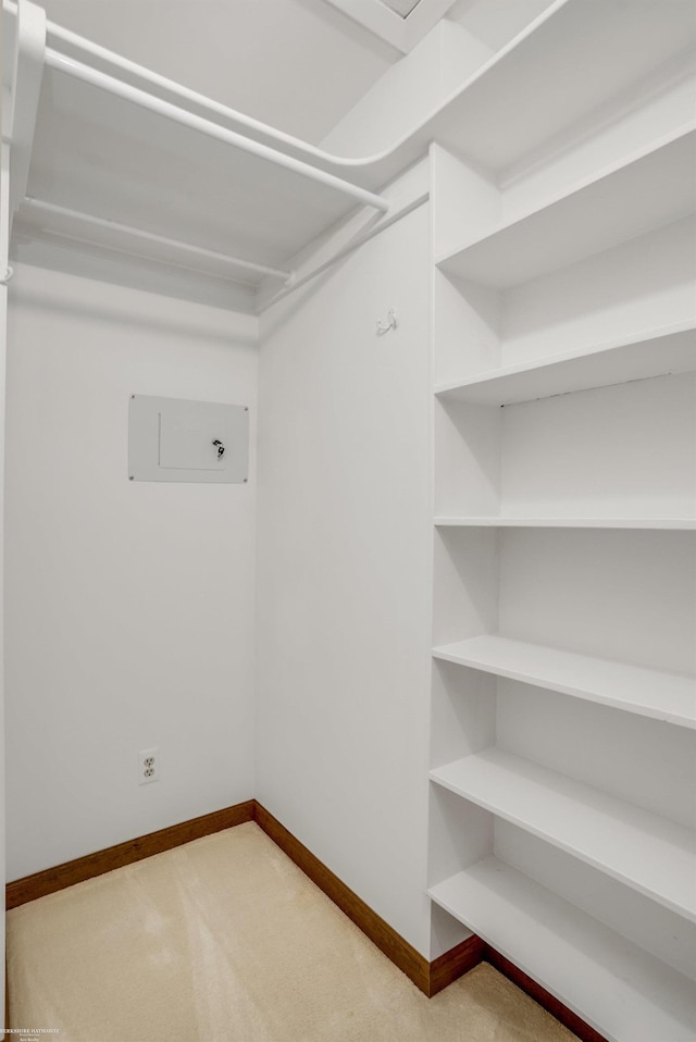 spacious closet with carpet