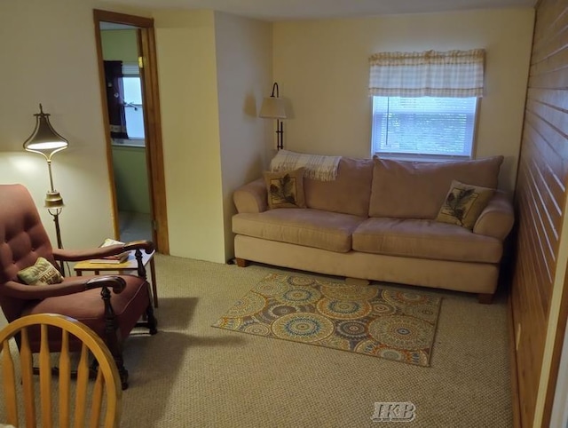 living room with carpet floors