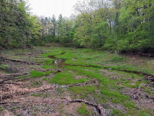 view of landscape