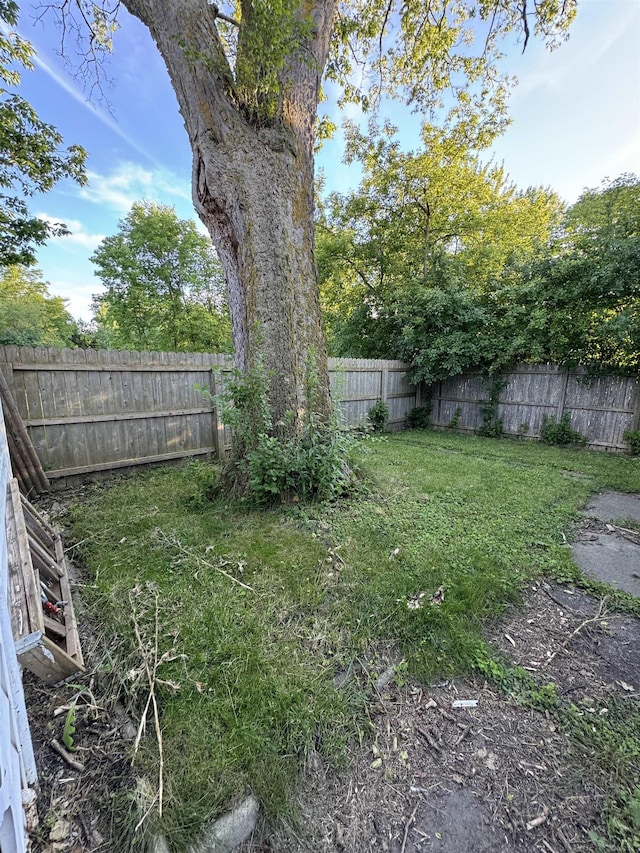 view of yard with a fenced backyard