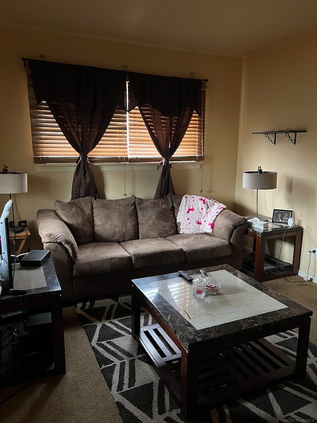 living room featuring carpet flooring