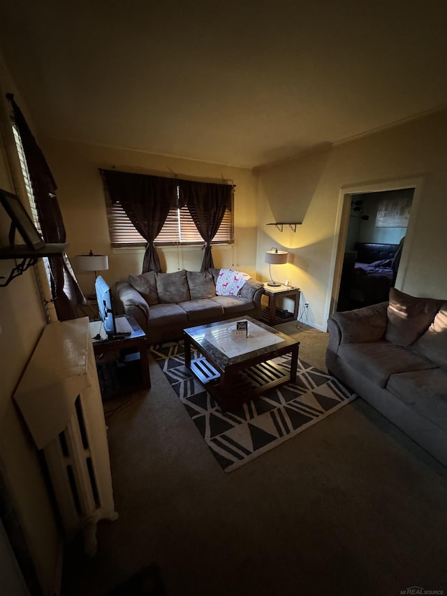 view of carpeted living area