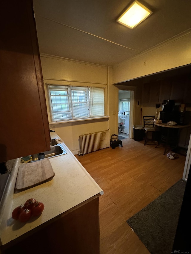 interior space with radiator heating unit and wood finished floors