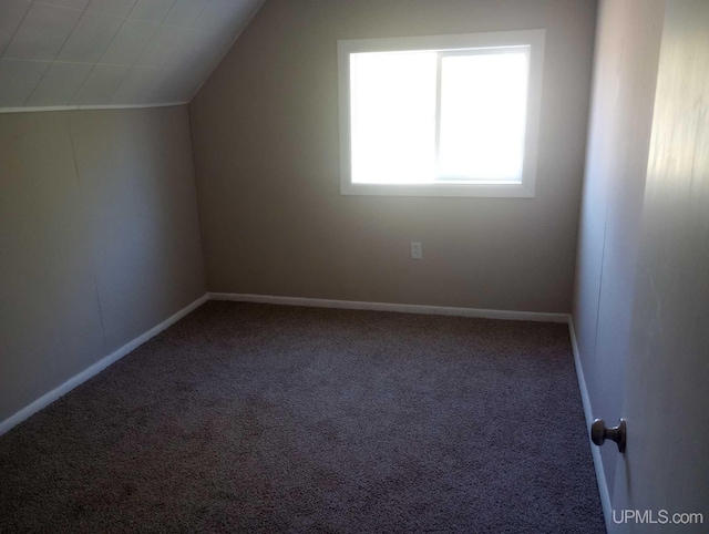 bonus room featuring carpet and vaulted ceiling