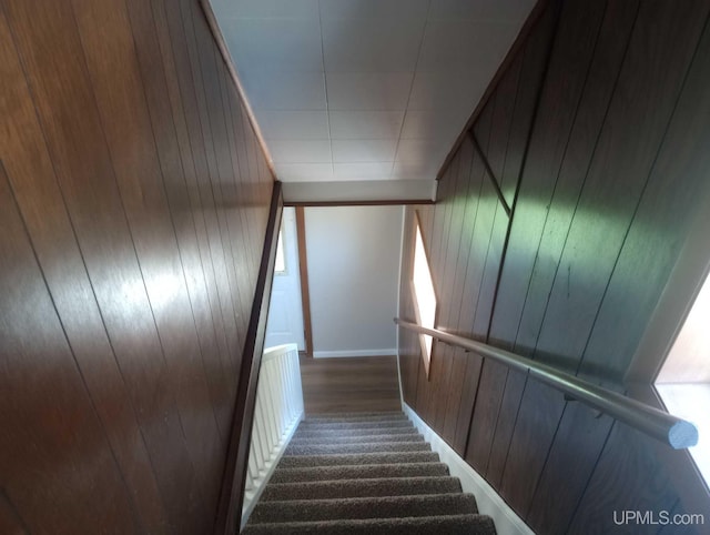 stairway with wood walls