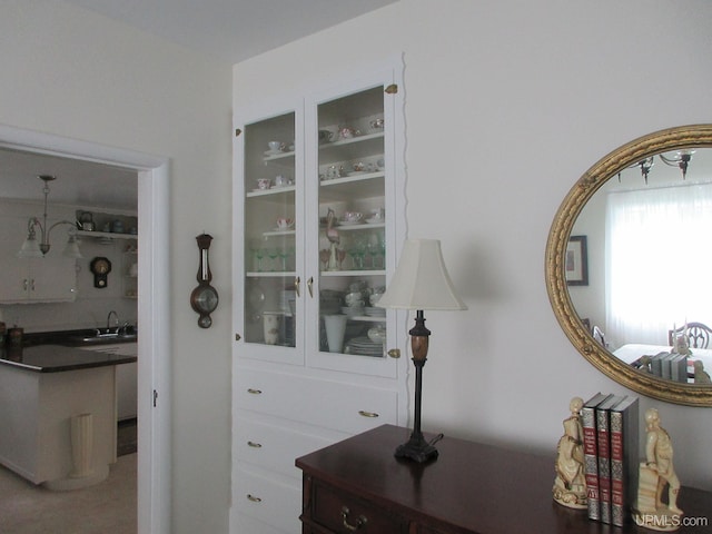 interior details featuring carpet and sink