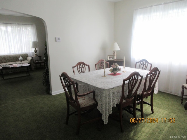 dining area featuring carpet