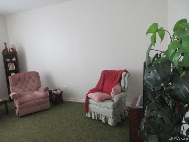 sitting room with carpet flooring