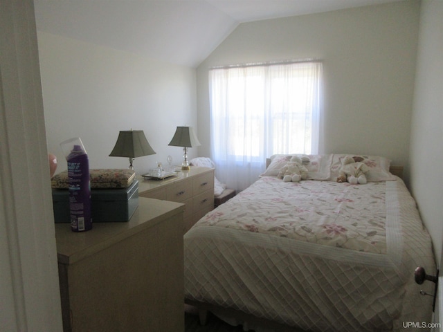 bedroom featuring vaulted ceiling