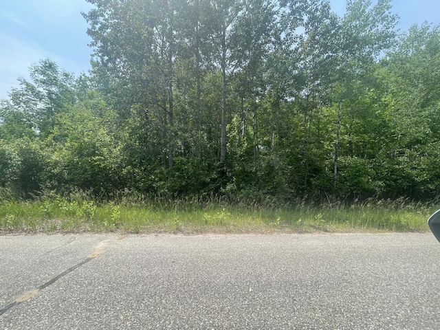 28-29 Knights Way, Gladwin MI, 48624 land for sale