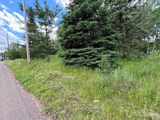 103 S Menard St, Michigamme MI, 49861 land for sale