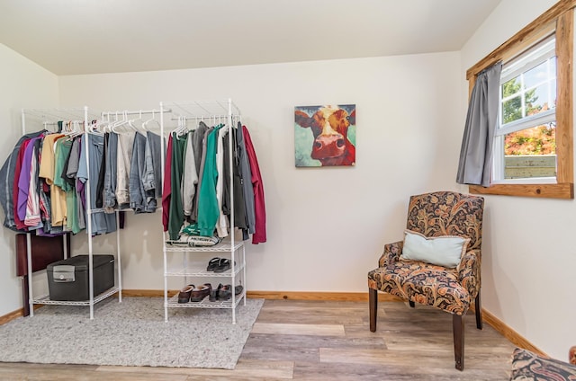 walk in closet with hardwood / wood-style floors