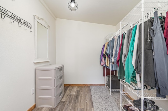 walk in closet with light hardwood / wood-style floors