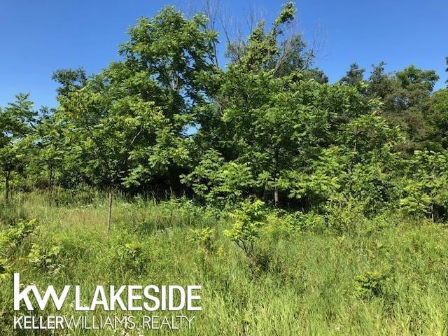 00 31 Mile Rd, Washington MI, 48095 land for sale