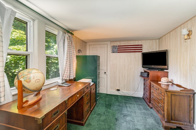 carpeted office featuring wood walls