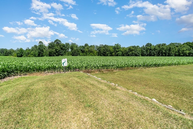 view of yard with a rural view