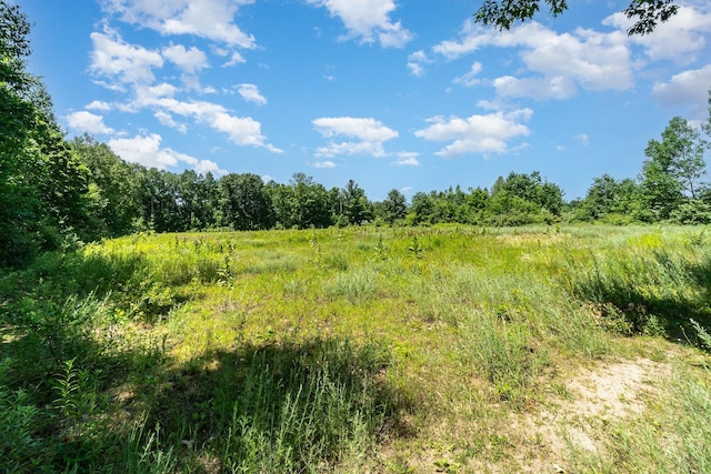 view of local wilderness with a rural view