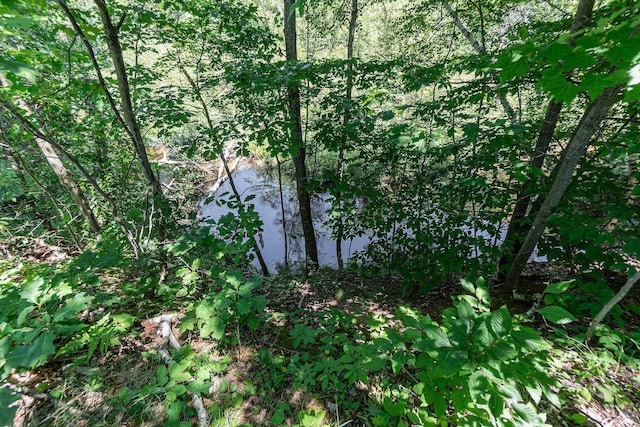 view of local wilderness featuring a water view