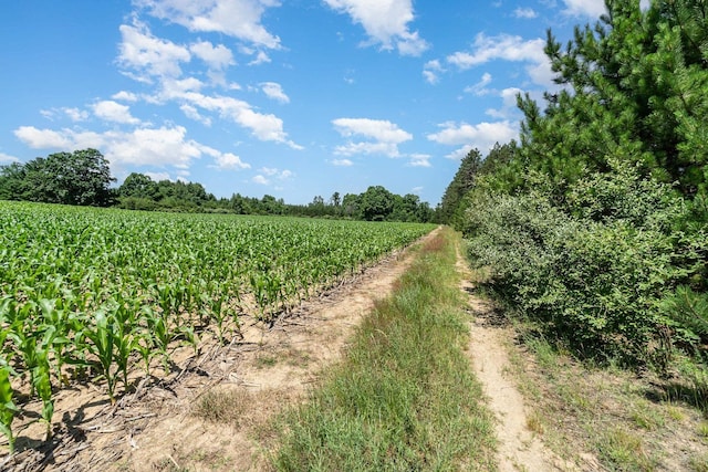 view of landscape with a rural view