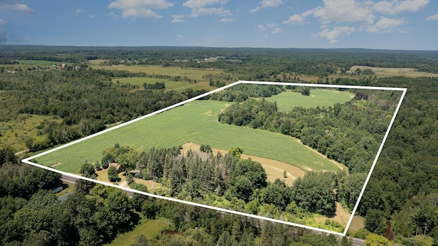 drone / aerial view featuring a rural view