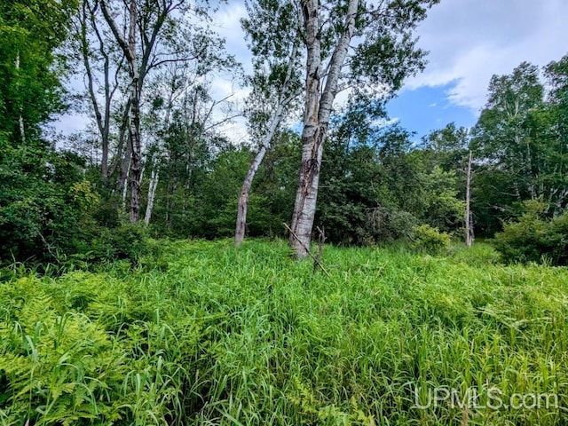 Listing photo 3 for 20ACRES Fairbanks Rd, Crystal Falls MI 49920