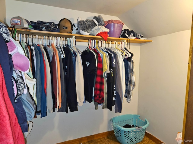 spacious closet with lofted ceiling