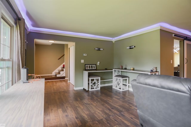 interior space featuring dark hardwood / wood-style flooring, crown molding, and plenty of natural light