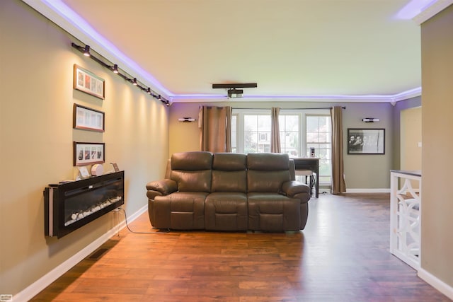 living room with wood-type flooring and crown molding