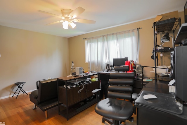 office space featuring light hardwood / wood-style floors and ceiling fan