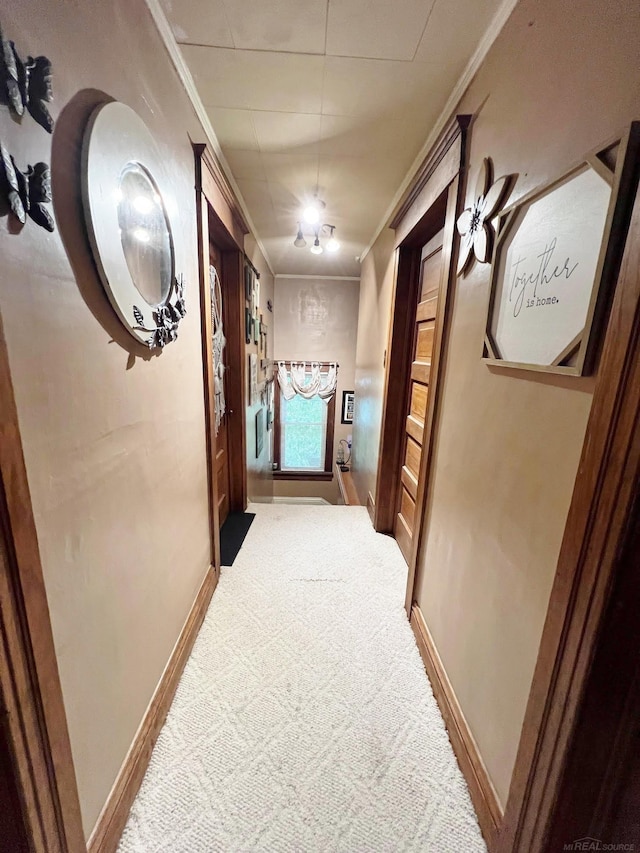 hallway with carpet and ornamental molding