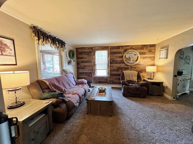 living room featuring wood walls, crown molding, dark carpet, and a baseboard heating unit