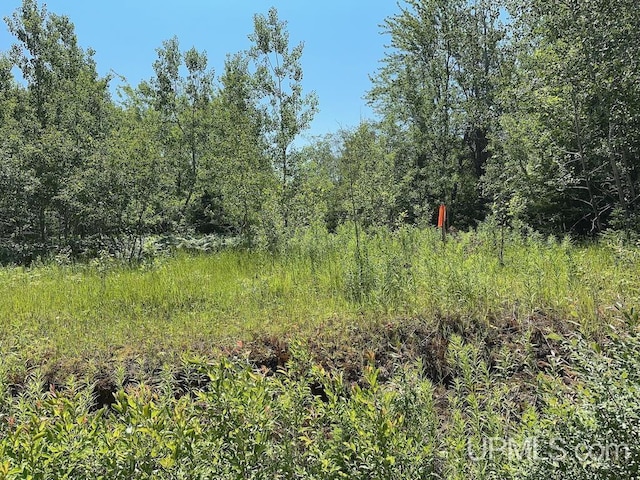 ParcelA Webb Road, Grand Marais, MI 49839