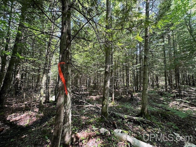 ParcelA Webb Road, Grand Marais, MI 49839
