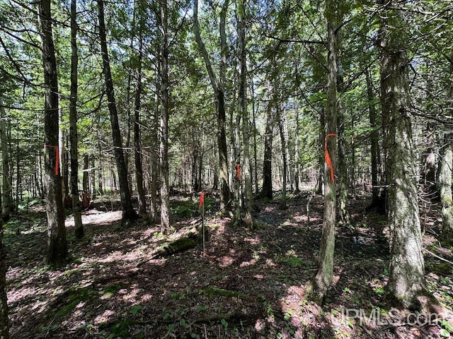 ParcelA Webb Road, Grand Marais, MI 49839