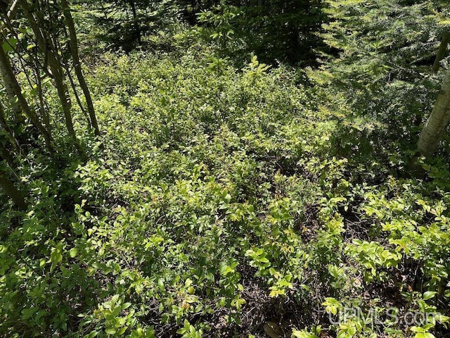 ParcelA Webb Road, Grand Marais, MI 49839