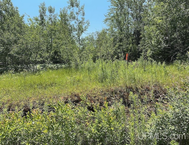ParcelA Webb Road, Grand Marais, MI 49839
