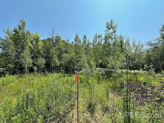 ParcelA Webb Road, Grand Marais, MI 49839