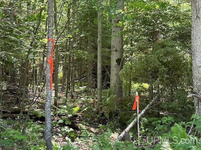 ParcelA Webb Road, Grand Marais, MI 49839
