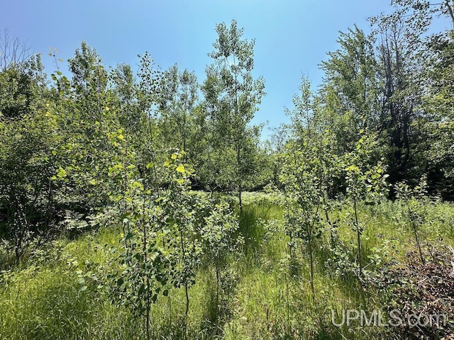 ParcelA Webb Road, Grand Marais, MI 49839