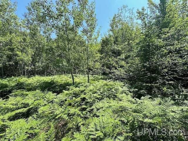 ParcelA Webb Road, Grand Marais, MI 49839