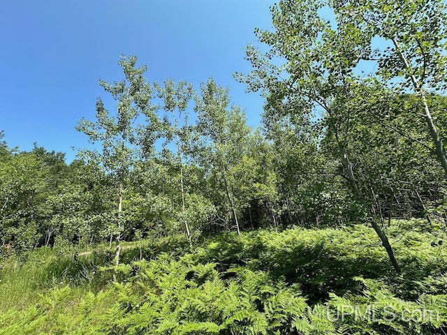 ParcelA Webb Road, Grand Marais, MI 49839
