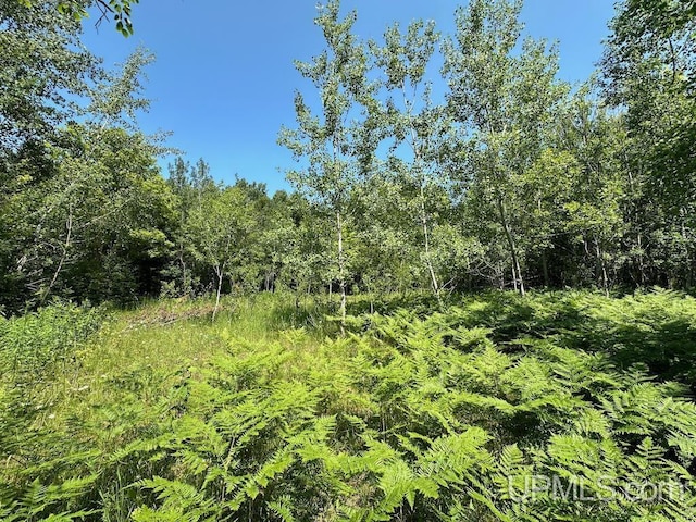 ParcelA Webb Road, Grand Marais, MI 49839