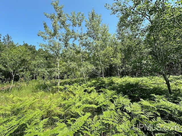 ParcelA Webb Road, Grand Marais, MI 49839