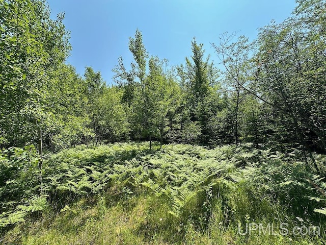 ParcelA Webb Road, Grand Marais, MI 49839