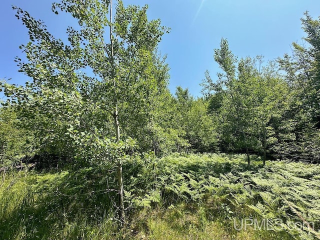 ParcelA Webb Road, Grand Marais, MI 49839