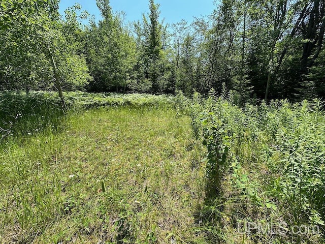 ParcelA Webb Road, Grand Marais, MI 49839
