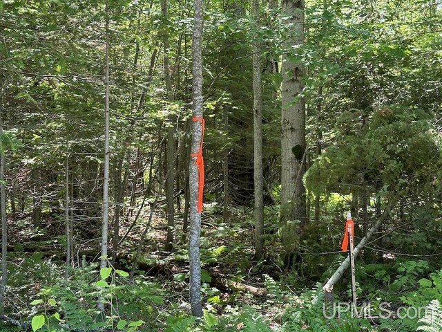 ParcelA Webb Road, Grand Marais, MI 49839