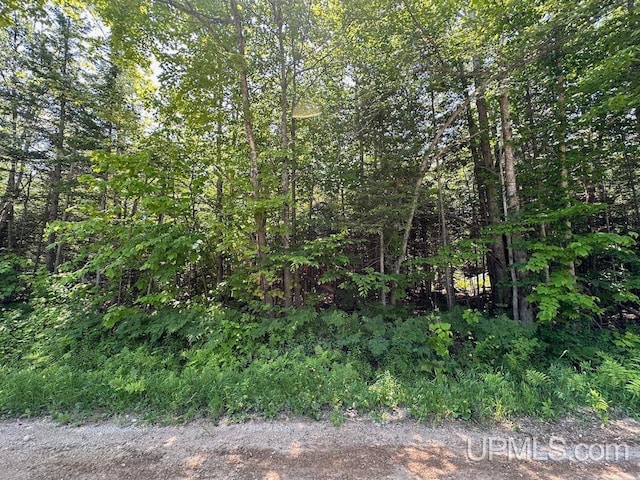 ParcelB Webb Road, Grand Marais MI, 49839 land for sale