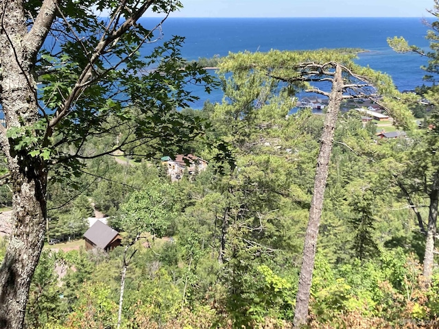 birds eye view of property featuring a water view and a wooded view