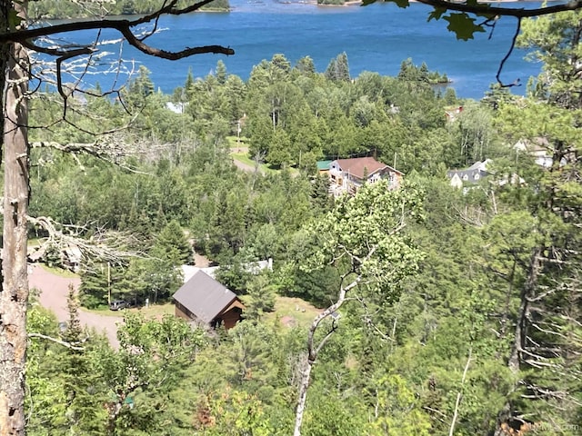 birds eye view of property featuring a water view and a forest view